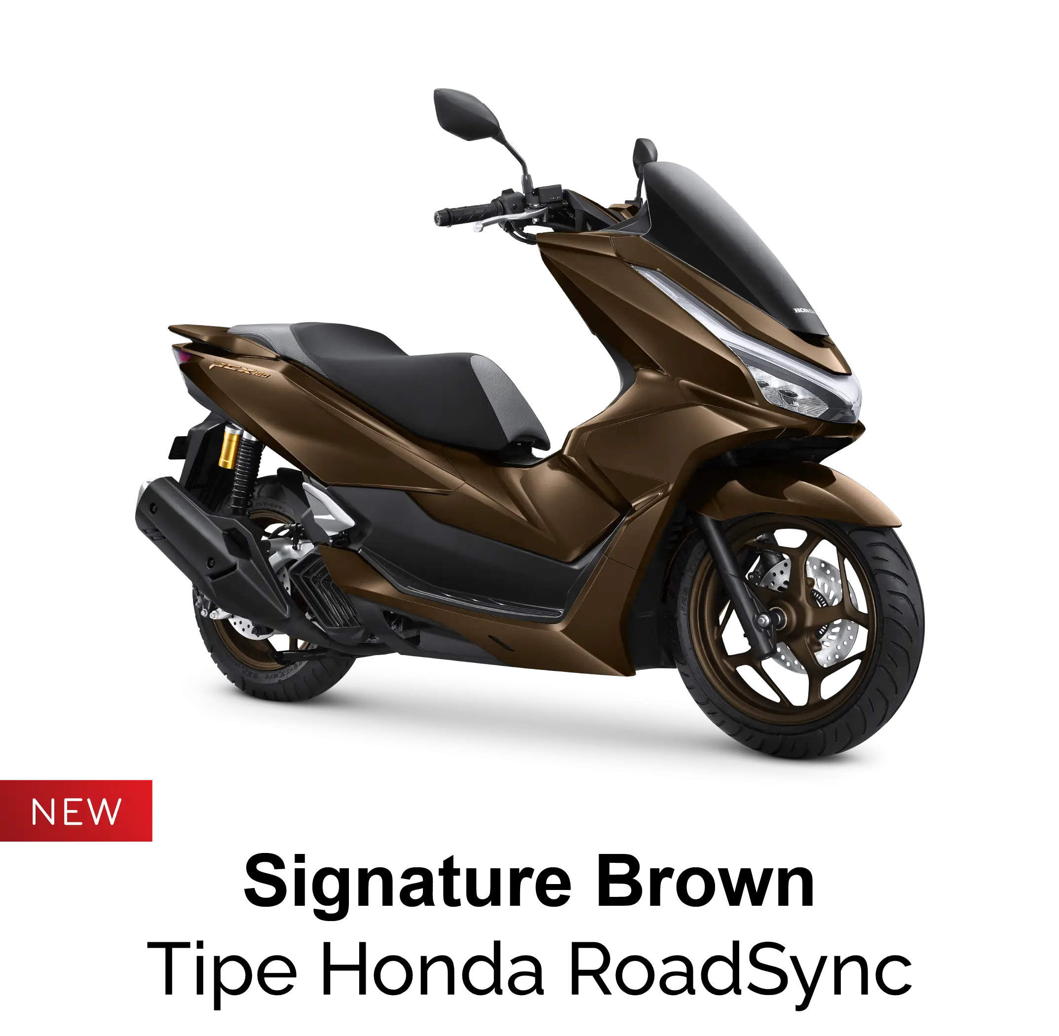 SIGNATURE BROWN